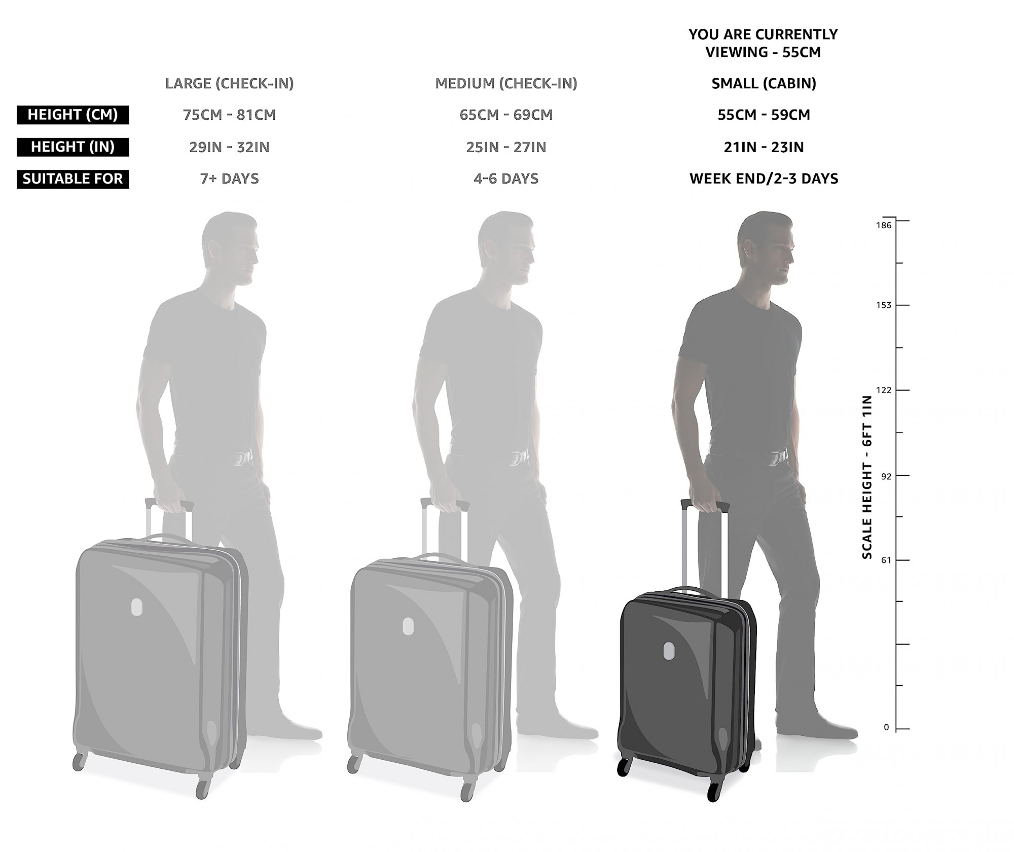 Travel Luggage Set | American Girl Wiki | Fandom