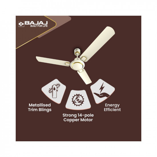 Bajaj Regal Gold NXG EE 1200mm Premium & Designer Ceiling Fans for Home