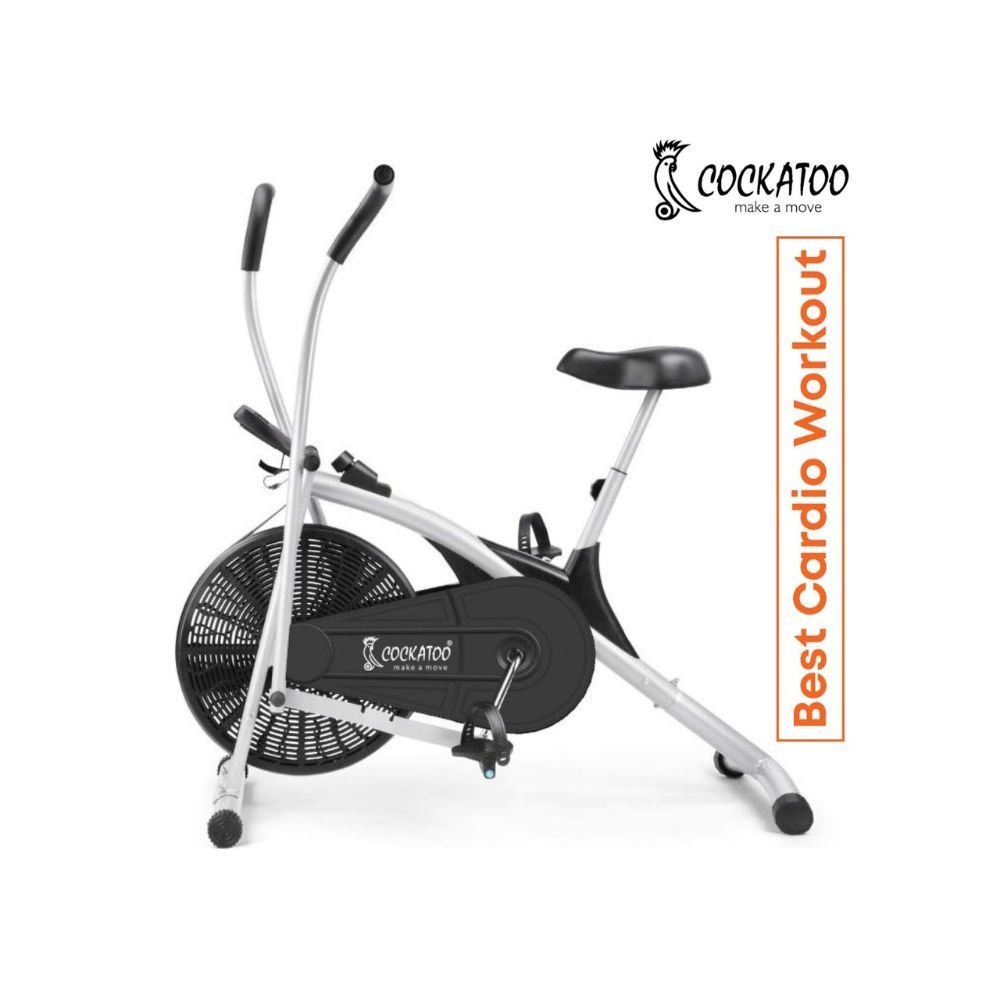 Cockatoo AB06 Stainless Steel Exercise Bike with Moving Handle and Adjustable Cushioned Seat