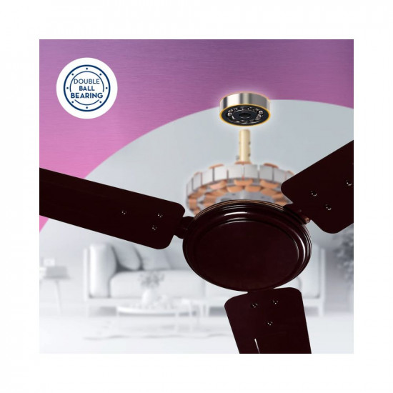 Crompton SUREBREEZE SEA SAPPHIRA 1200 mm (48 inch) Ceiling Fan (Lustre Brown) Star rated energy efficient fans