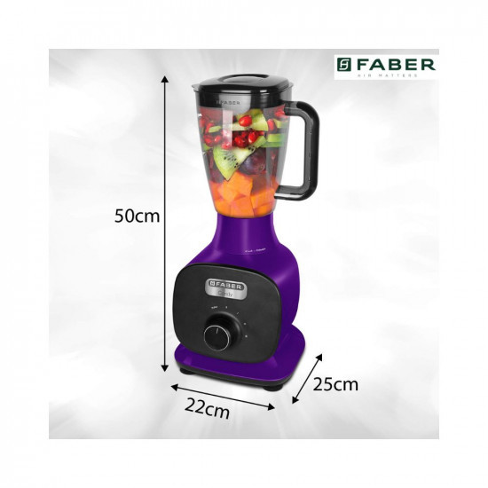 Faber 1000W Juicer Mixer Grinder with 3 Stainless Steel Jar 1 Fruit Filter FMG Candy 1000 3J1 PcPlum