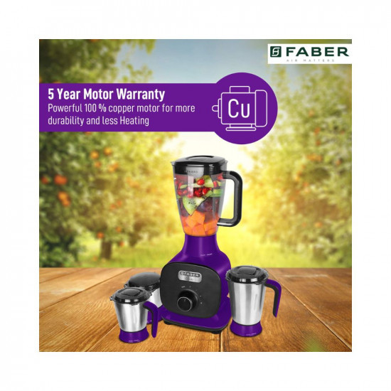 Faber 1000W Juicer Mixer Grinder with 3 Stainless Steel Jar 1 Fruit Filter FMG Candy 1000 3J1 PcPlum