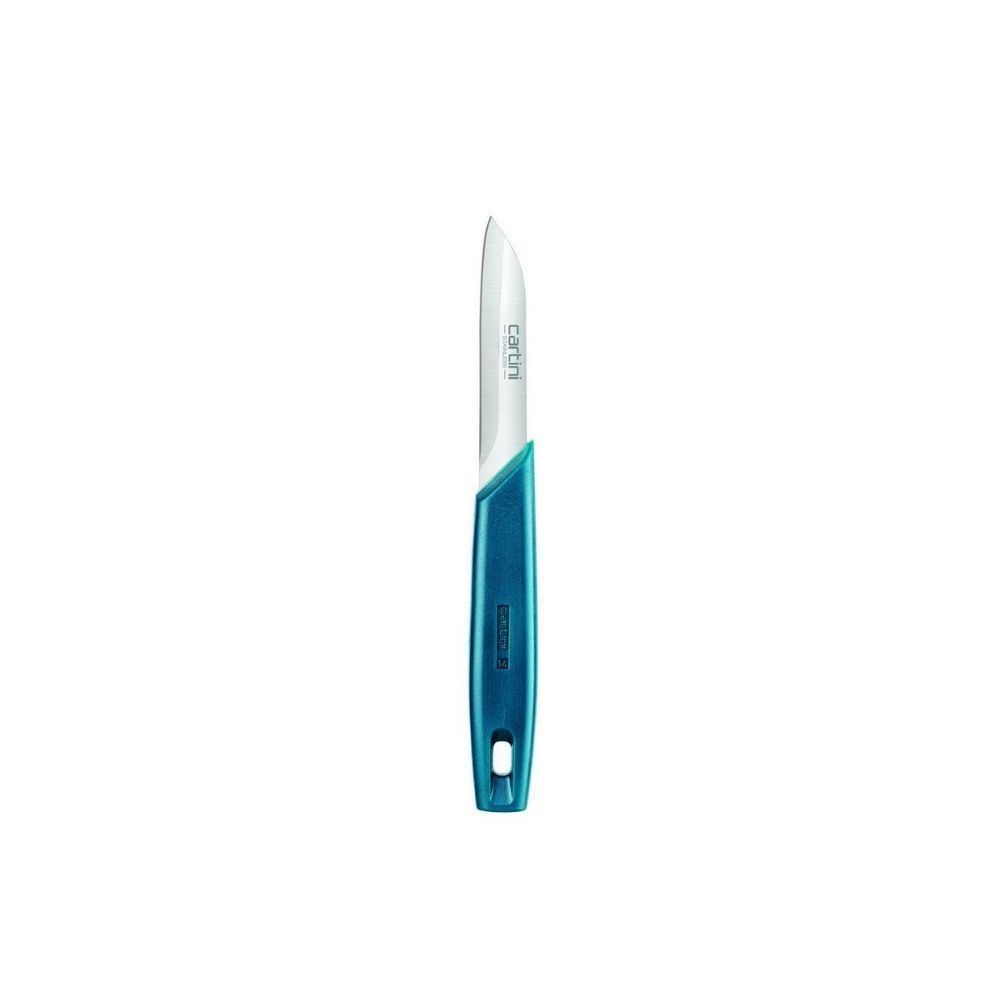 Godrej Cartini Creative Stainless Steel Kitchen Knife (Blue)