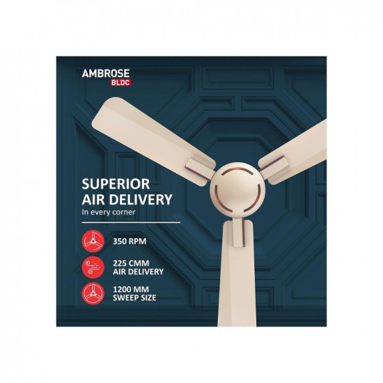 Havells 1200mm Ambrose BLDC BLDC Motor Ceiling Fan