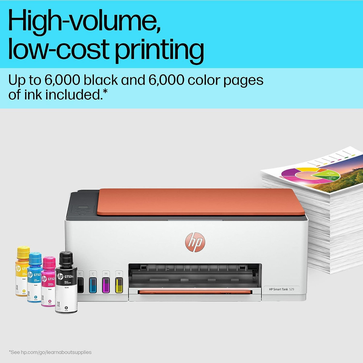 HP Smart Tank 529 AIO Colour Printer Upto 6000 Black  6000 Colour Pages Included in The Box- Print Scan  Copy for OfficeHome