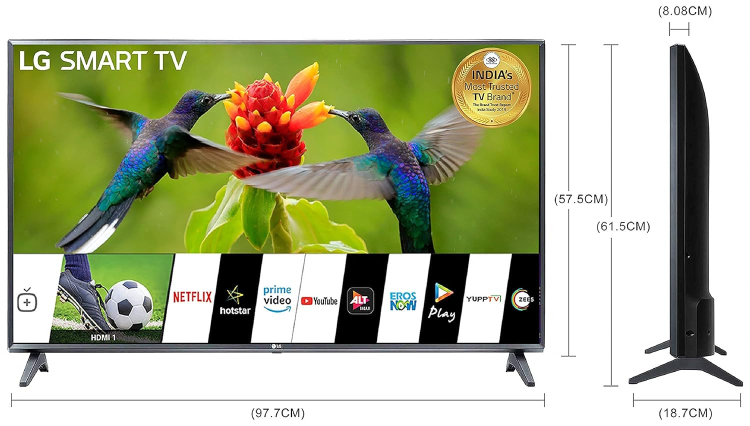 LG 108 cm 43 Inches Full HD Smart LED TV 43LM5600PTC Dark Iron Gray