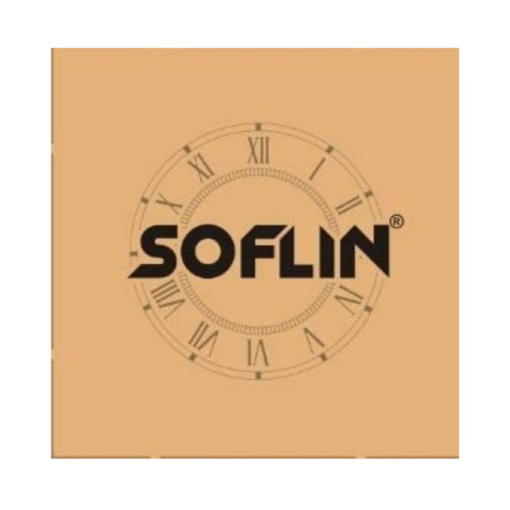 SOFLIN Egg Boiler Electric Automatic Off 7 Egg Poacher for Steaming 400 Watts Blue
