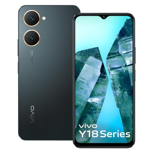 vivo Y18t Space Black 4GB RAM 128GB Storage Without Offer Without Charger