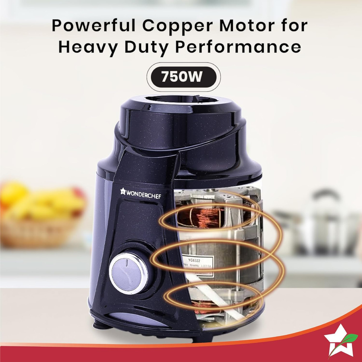 Wonderchef Galaxy Mixer Grinder 750 100 Copper Motor 4 Stainless Steel Jars Black  Grey 5 Years Warranty